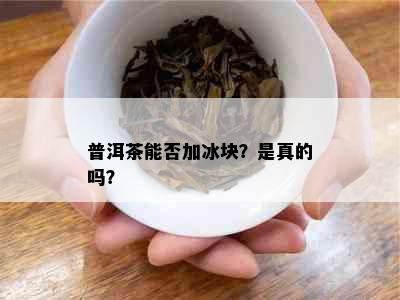 普洱茶能否加冰块？是真的吗？