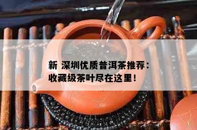 新 深圳优质普洱茶推荐：收藏级茶叶尽在这里！