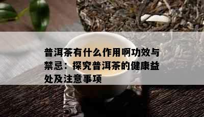 普洱茶有什么作用啊功效与禁忌：探究普洱茶的健康益处及注意事项