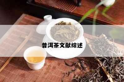 普洱茶文献综述