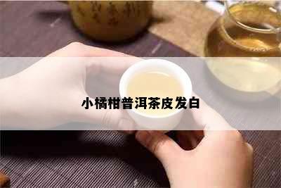 小橘柑普洱茶皮发白