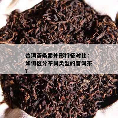 普洱茶条索外形特征对比：如何区分不同类型的普洱茶？