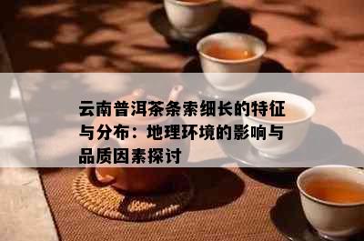 云南普洱茶条索细长的特征与分布：地理环境的影响与品质因素探讨