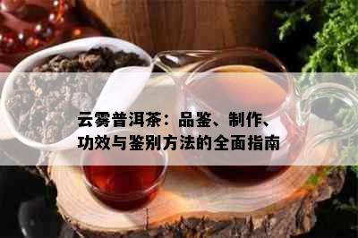 云雾普洱茶：品鉴、制作、功效与鉴别方法的全面指南