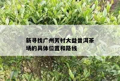 新寻找广州芳村大益普洱茶场的具     置和路线