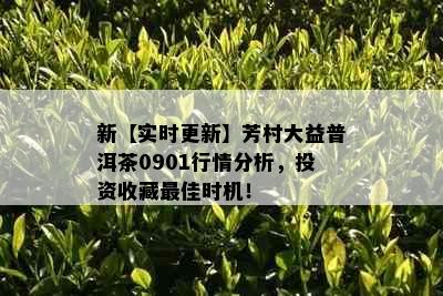 新【实时更新】芳村大益普洱茶0901行情分析，投资收藏更佳时机！