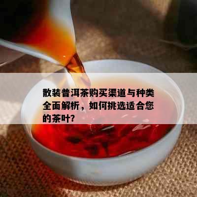 散装普洱茶购买渠道与种类全面解析，如何挑选适合您的茶叶？