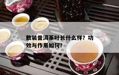 散装普洱茶叶长什么样？功效与作用如何？