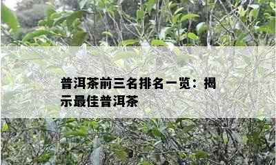 普洱茶前三名排名一览：揭示更佳普洱茶