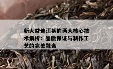 新大益普洱茶的两大核心技术解析：品质保证与制作工艺的完美融合