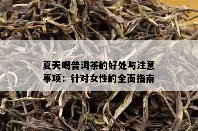 夏天喝普洱茶的好处与注意事项：针对女性的全面指南