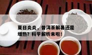 夏日炎炎，普洱茶解暑还是增热？科学解析来啦！