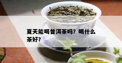 夏天能喝普洱茶吗？喝什么茶好？