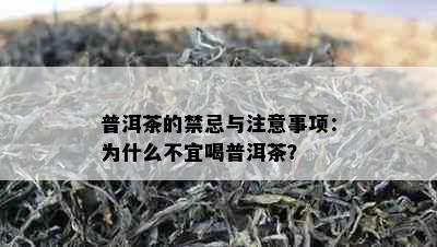 普洱茶的禁忌与注意事项：为什么不宜喝普洱茶？