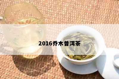 2016乔木普洱茶