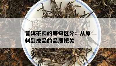 普洱茶料的等级区分：从原料到成品的品质把关