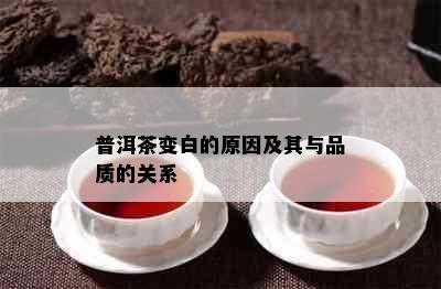 普洱茶变白的原因及其与品质的关系