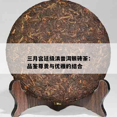 三月宫廷级滇普洱银砖茶：品鉴尊贵与优雅的结合