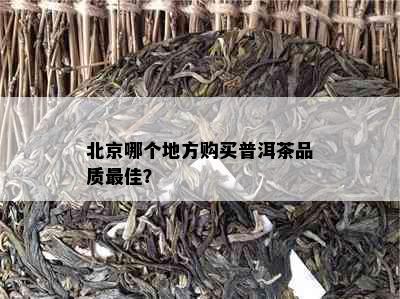 北京哪个地方购买普洱茶品质更佳？