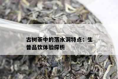 古树茶中的落水洞特点：生普品饮体验探析