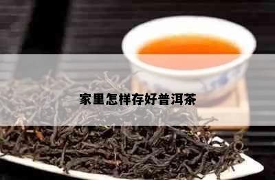 家里怎样存好普洱茶