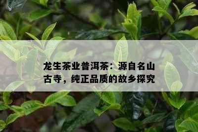 龙生茶业普洱茶：源自名山古寺，纯正品质的故乡探究