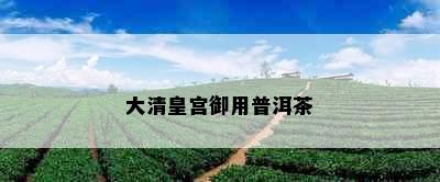 大清皇宫御用普洱茶