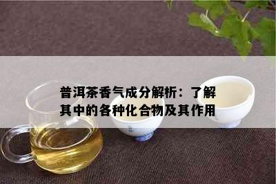 普洱茶香气成分解析：了解其中的各种化合物及其作用