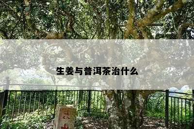 生姜与普洱茶治什么