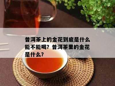 普洱茶上的金花到底是什么能不能喝？普洱茶里的金花是什么？