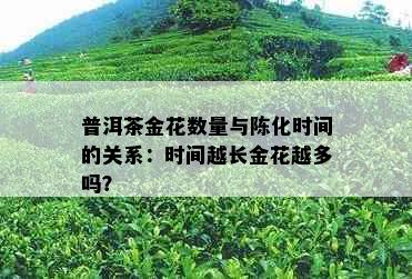 普洱茶金花数量与陈化时间的关系：时间越长金花越多吗？