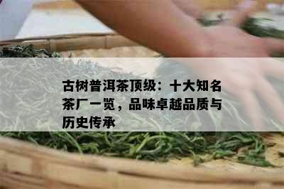 古树普洱茶顶级：十大知名茶厂一览，品味卓越品质与历史传承