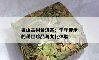 名山古树普洱茶：千年传承的稀世珍品与文化体验