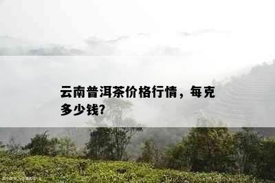 云南普洱茶价格行情，每克多少钱？