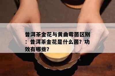 普洱茶金花与黄曲霉菌区别：普洱茶金花是什么菌？功效有哪些？