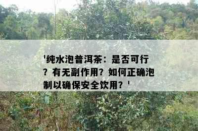 '纯水泡普洱茶：是否可行？有无副作用？如何正确泡制以确保安全饮用？'