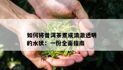 如何将普洱茶煮成清澈透明的水状：一份全面指南