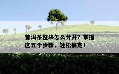 普洱茶整块怎么分开？掌握这五个步骤，轻松搞定！