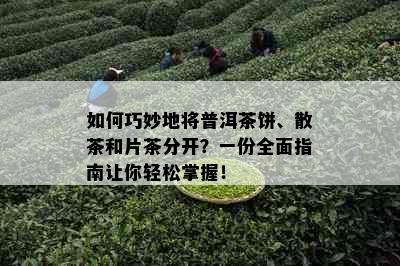 如何巧妙地将普洱茶饼、散茶和片茶分开？一份全面指南让你轻松掌握！