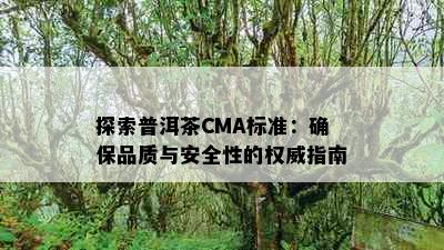 探索普洱茶CMA标准：确保品质与安全性的权威指南