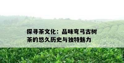 探寻茶文化：品味弯弓古树茶的悠久历史与独特魅力