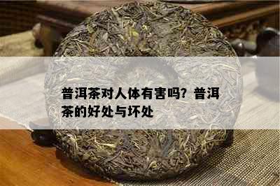 普洱茶对人体有害吗？普洱茶的好处与坏处