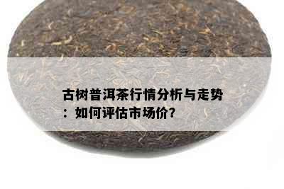 古树普洱茶行情分析与走势：如何评估市场价？