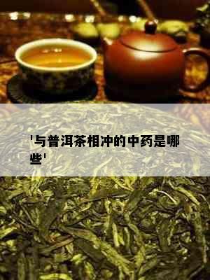 '与普洱茶相冲的中是哪些'