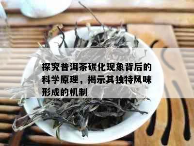 探究普洱茶碳化现象背后的科学原理，揭示其独特风味形成的机制