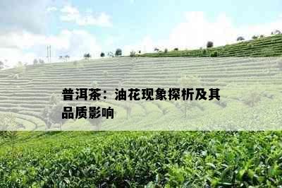 普洱茶：油花现象探析及其品质影响