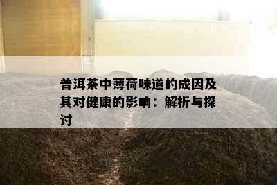 普洱茶中薄荷味道的成因及其对健康的影响：解析与探讨