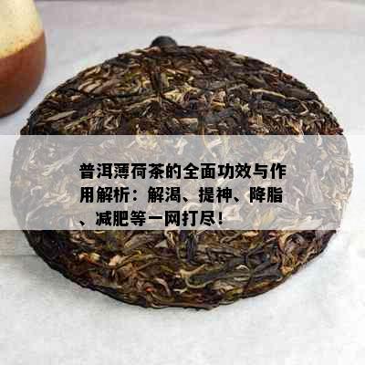 普洱薄荷茶的全面功效与作用解析：解渴、提神、降脂、减肥等一网打尽！