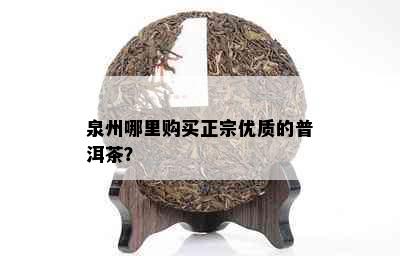 泉州哪里购买正宗优质的普洱茶？