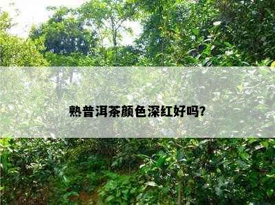 熟普洱茶颜色深红好吗？